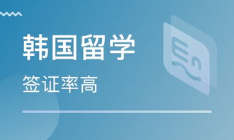 石家莊自費(fèi)留學(xué)韓國 如何選擇可靠的中介服務(wù)